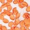 200pc Burnt Orange Silk Rose Petals - Fall Wedding Flower Girl Petals - Autumn Aisle Runner & Table Scatter - Thanksgiving Party Confetti & Centerpiece Decor
